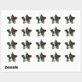 Sticker Étoile Islandhund (Feuille)