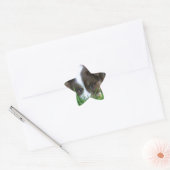 Sticker Étoile Islandhund (Enveloppe)