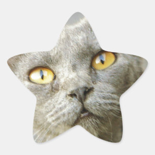 Sticker Étoile Jean Gray de dernier Hope