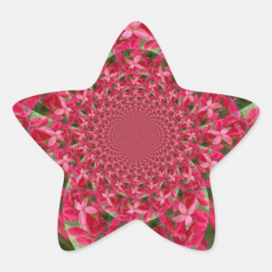 Sticker Étoile Kaleidoscope de Cramoisi : Art de Fleur d'Asclépia