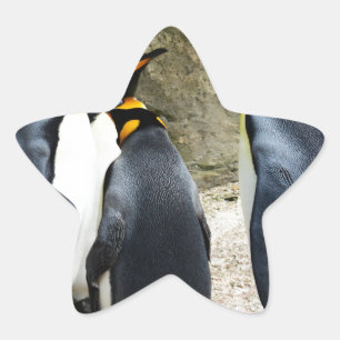 Sticker Étoile King Penguin