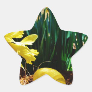 Sticker Étoile Les jonquilles jaunes et un oeuf de Pâques jaune