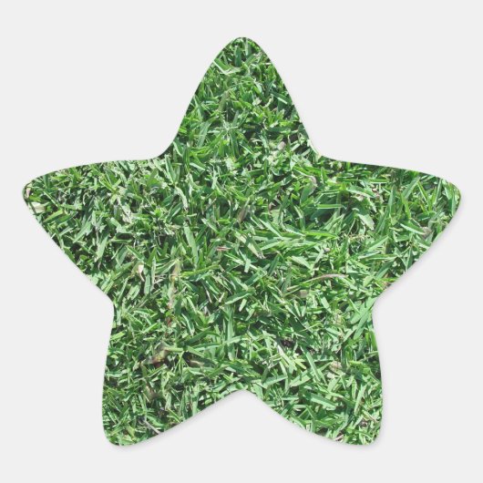 Sticker Étoile L'herbe de buffle (Devant)