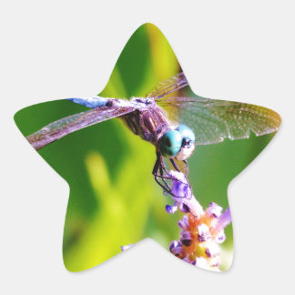 Sticker Étoile libellule turquoise et violette