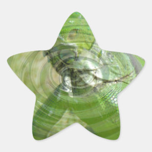Sticker Étoile L'iguane vert