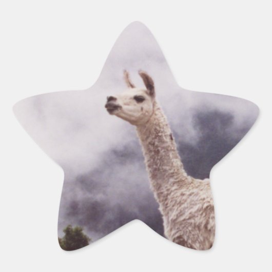 Sticker Étoile Llama Machu Picchu, Pérou (Devant)
