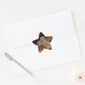 Sticker étoile Meerkat (Enveloppe)