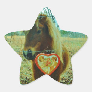 Sticker Étoile Miniature cheval Brown Valentine Heart
