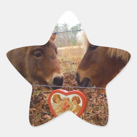 Sticker Étoile Miniature Donkey & Horse Valentine Heart (Devant)