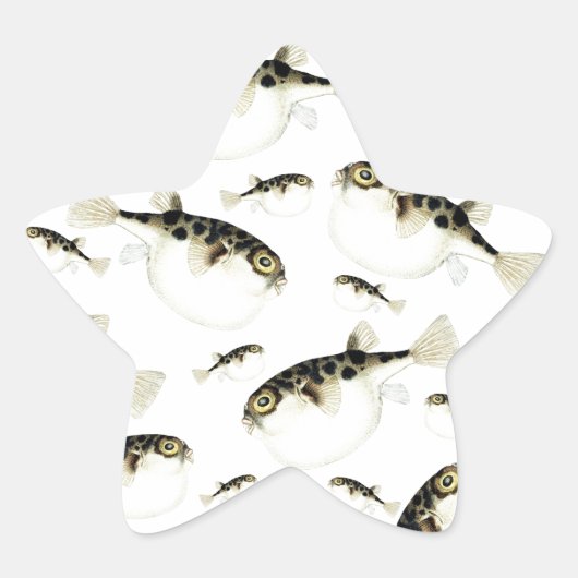 Sticker Étoile Motif blanc Puffer Fish (Devant)
