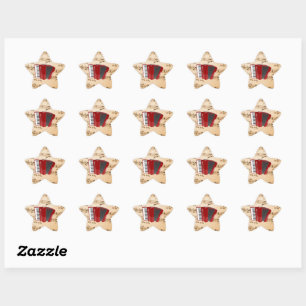 Sticker Étoile Musique d'accordéon, design populaire,