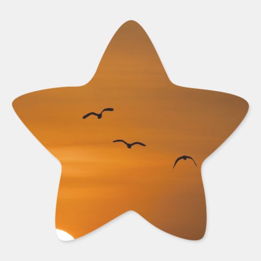Sticker Étoile Oiseaux volant au coucher du soleil (Devant)