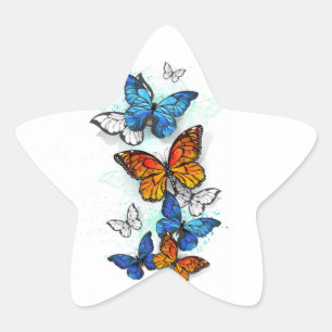 Sticker Étoile Papillons volants Morpho et Monarch