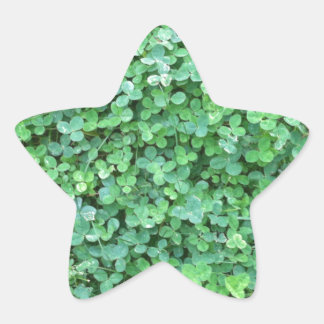 Sticker Étoile Photo de la nature verdoyante