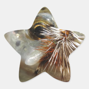 Sticker Étoile Photo Rainbow Trump