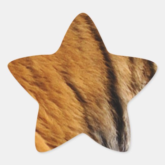 Sticker Étoile Photo Tiger Stripes Big Cat Wildlife (Devant)