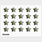Sticker Étoile Pilière à queue noire (chenille) sur Dil (Feuille)