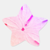 Sticker Étoile Plage Dollar Sable Rose Mignonne Tendance Côtière (Devant)