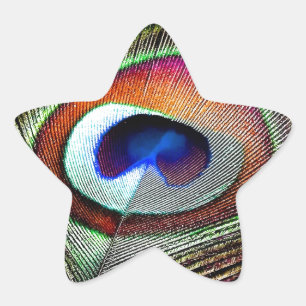 Sticker Étoile Plume colorée de paon en cuivre