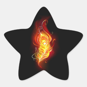 Sticker Étoile Plumes de paquetage de feu