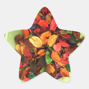 Sticker Étoile Pot-pourri Coloré : Un Affichage Parfumé