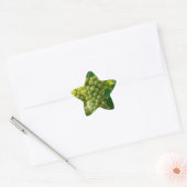 Sticker Étoile Raisin Vert Frais (Enveloppe)
