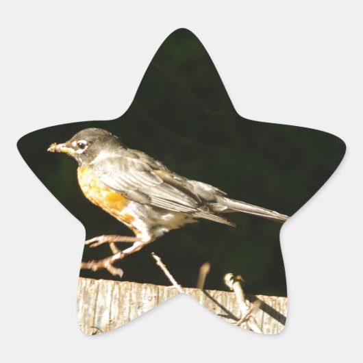 Sticker Étoile Robin Rouge Bobbin (Devant)