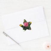 Sticker Étoile Rose (Enveloppe)