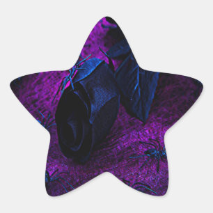 Sticker Étoile Rose éffrayant en matière noire, araignées noires