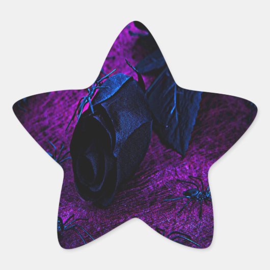 Sticker Étoile Rose éffrayant en matière noire, araignées noires (Devant)