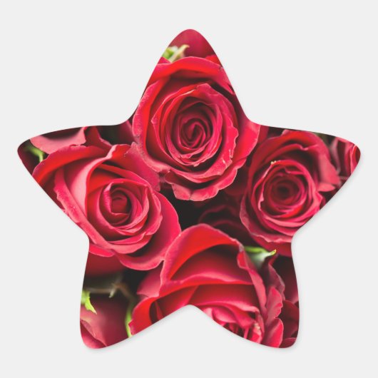 Sticker Étoile Roses Reddy Belle (Devant)