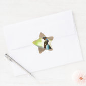 Sticker Étoile Ruby perché et petit colibri vert (Enveloppe)