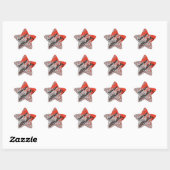 Sticker Étoile Silver Sparkly Vous Êtes Exceptionnel (Feuille)