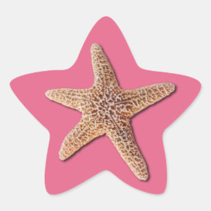 Sticker Étoile Starfish sur Honeysuckle 2011