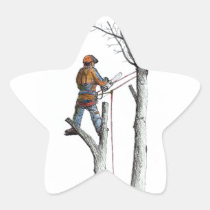 Sticker Étoile Sycamore et 020t