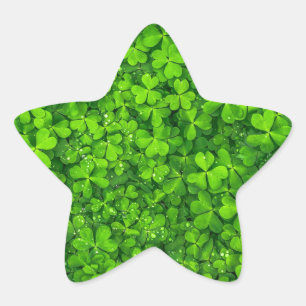 Sticker Étoile Symbole irlandais Irlande de vert de trèfles de