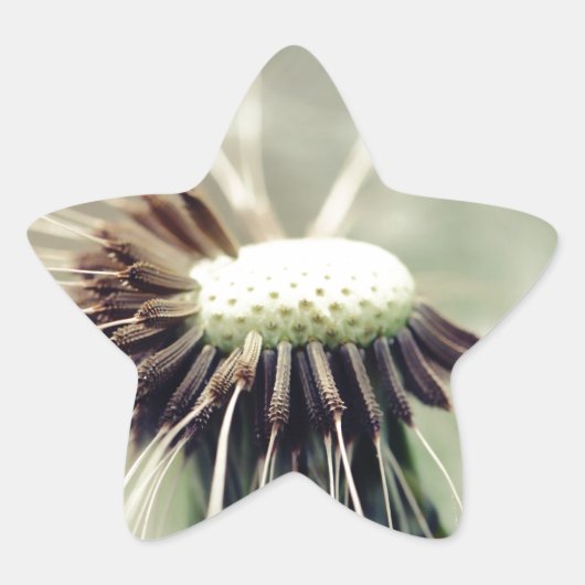 Sticker Étoile Tournoi de tennis de Munich (Devant)