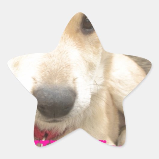 Sticker Étoile Tu Devrais WIFI Ton Amour Tous Les Jours (Devant)