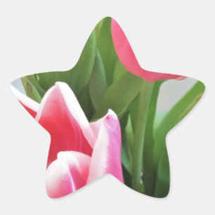 Sticker Étoile Tulipes roses, bouquet floral de ressort, fleurs