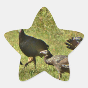 Sticker Étoile Turquie sauvage, couleurs du Camouflage
