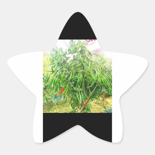 Sticker Étoile Un gâteau froid : délicieux plats savoureux à tart (Devant)