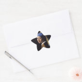 Sticker Étoile Vermeer Girl Pearl Élevant Masterpiece Peinture (Enveloppe)