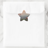 Sticker Étoile Voyage (Sac)