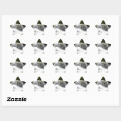Sticker Étoile Waterfalls (Feuille)