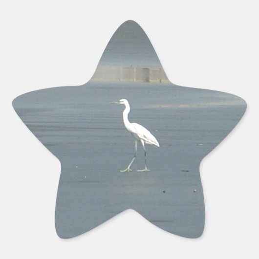 Sticker Étoile White Bird on Grey Sand Beach Art Imprimer (Devant)