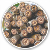 Sticker Étoiles des Cottonwood Trees le long du Rio Grande (Devant)