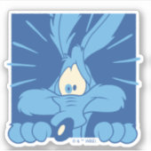 Sticker Expression de choc de BÉBÉE COYOTE™ (Devant)