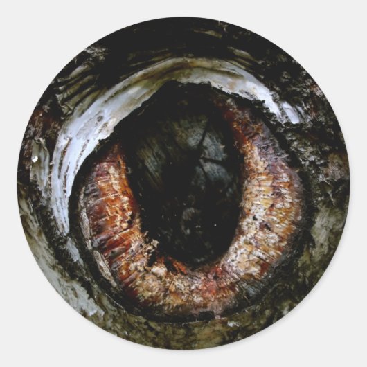 Sticker Eyeball (Devant)