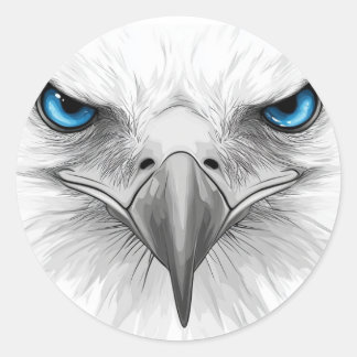 Sticker. Eyes and beak. A stern and serious look. Ronde Sticker