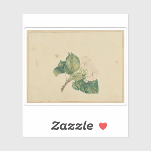 Sticker Fabricant inconnu - Branche de floraison (Feuille)